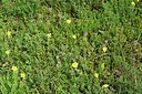 BUITEN BEELD Foto: 236676