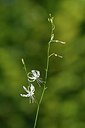 BUITEN BEELD Foto: 236686