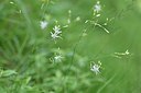 BUITEN BEELD Foto: 236691