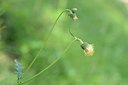 BUITEN BEELD Foto: 236692