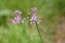 BUITEN BEELD Foto: 236762