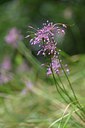 BUITEN BEELD Foto: 236763
