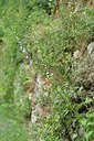 BUITEN BEELD Foto: 236767