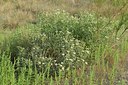 BUITEN BEELD Foto: 236779