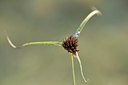 BUITEN BEELD Foto: 236781