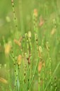 BUITEN BEELD Foto: 236794