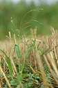 BUITEN BEELD Foto: 236803