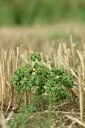 BUITEN BEELD Foto: 236805