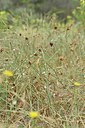 BUITEN BEELD Foto: 236820
