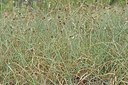 BUITEN BEELD Foto: 236860
