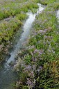 BUITEN BEELD Foto: 236880