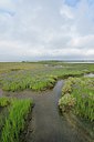BUITEN BEELD Foto: 236896