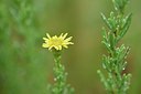 BUITEN BEELD Foto: 236915