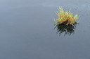BUITEN BEELD Foto: 236925