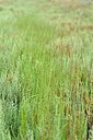 BUITEN BEELD Foto: 236957