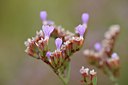 BUITEN BEELD Foto: 236965