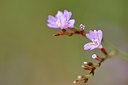 BUITEN BEELD Foto: 236969