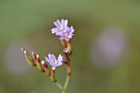 BUITEN BEELD Foto: 236972