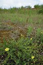 BUITEN BEELD Foto: 236999