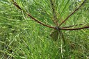 BUITEN BEELD Foto: 237002