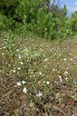BUITEN BEELD Foto: 237003
