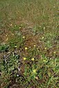 BUITEN BEELD Foto: 237009