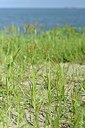 BUITEN BEELD Foto: 237070