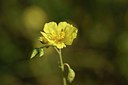 BUITEN BEELD Foto: 237097