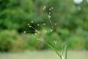 BUITEN BEELD Foto: 237148
