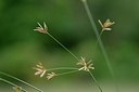 BUITEN BEELD Foto: 237149