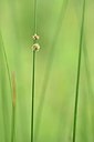 BUITEN BEELD Foto: 237159