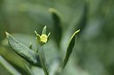 BUITEN BEELD Foto: 237185