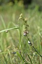 BUITEN BEELD Foto: 237190