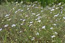 BUITEN BEELD Foto: 237191