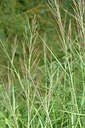 BUITEN BEELD Foto: 237197