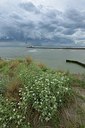 BUITEN BEELD Foto: 237199