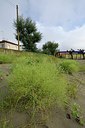 BUITEN BEELD Foto: 237200