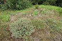 BUITEN BEELD Foto: 237216