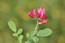 BUITEN BEELD Foto: 237303