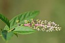 BUITEN BEELD Foto: 237347