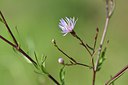 BUITEN BEELD Foto: 237348