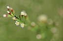 BUITEN BEELD Foto: 237365