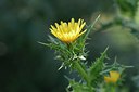 BUITEN BEELD Foto: 237411