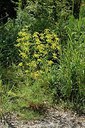 BUITEN BEELD Foto: 237424