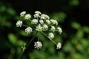 BUITEN BEELD Foto: 237466