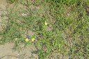 BUITEN BEELD Foto: 237493