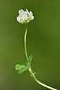 BUITEN BEELD Foto: 237509