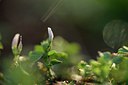 BUITEN BEELD Foto: 237540