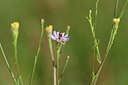 BUITEN BEELD Foto: 237568
