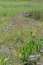 BUITEN BEELD Foto: 237600